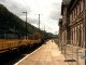 Diesel BR 203