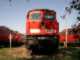Diesel BR 232