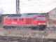 Diesel BR 232