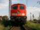 Diesel BR 232
