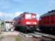 Diesel BR 233