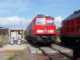 Diesel BR 233