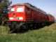 Diesel BR 233