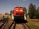 Diesel BR 290