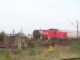 Diesel BR 290