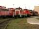 Diesel BR 365