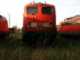 E-Lok BR140