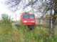 E-Lok BR145