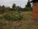 Garten 2012