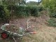 Garten 2012