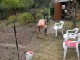 Garten 2012