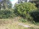 Garten 2012
