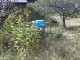 Garten 2012