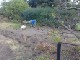 Garten 2012