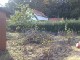 Garten 2012