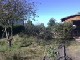 Garten 2012