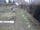 Garten 2013