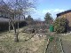 Garten 2013