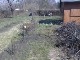 Garten 2013