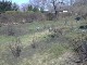 Garten 2013