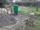Garten 2013