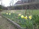 Garten 2013