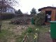Garten 2013