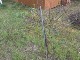Garten 2013