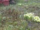 Garten 2013