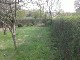 Garten 2013