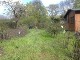 Garten 2013