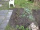Garten 2013