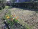 Garten 2013