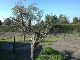 Garten 2013
