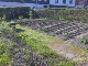 Garten 2013
