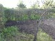 Garten 2013
