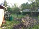 Garten 2013