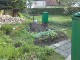 Garten 2013