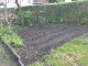 Garten 2013