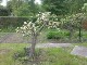 Garten 2013
