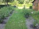 Garten 2013