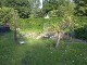 Garten 2013