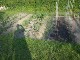 Garten 2013