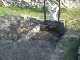 Garten 2013