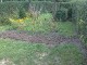 Garten 2013
