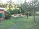 Garten 2013