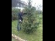 Garten 2013