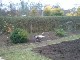 Garten 2013
