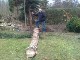 Garten 2013
