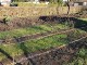Garten 2013